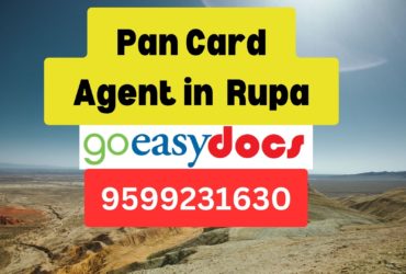 Pan Card Agent Consultant in Rupa  8851415812