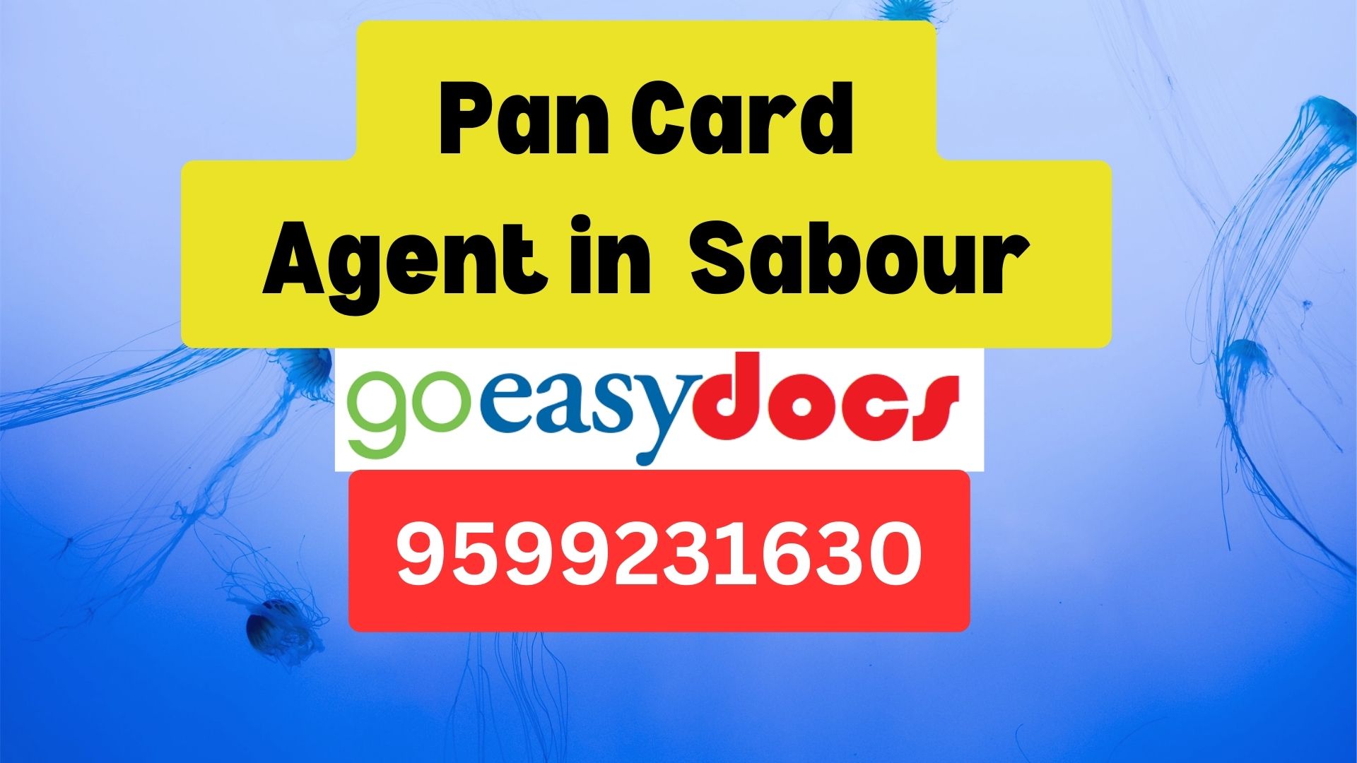Pan Card Agent Consultant in Sabour  8851415812