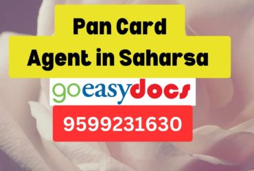 Pan Card Agent Consultant in Saharsa   8851415812