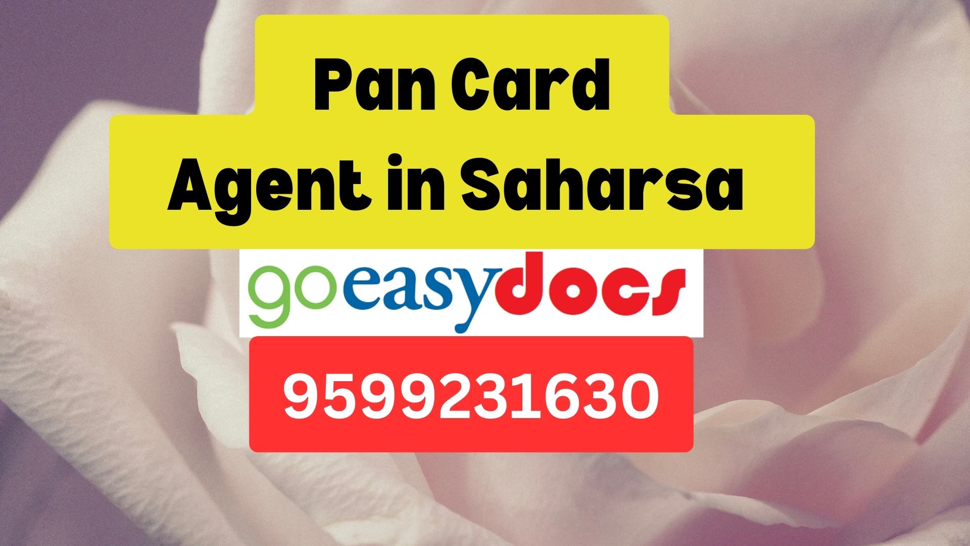 Pan Card Agent Consultant in Saharsa   8851415812