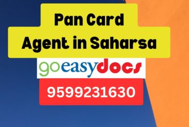 Pan Card Agent Consultant in Saharsa 8851415812