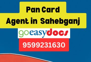 Pan Card Agent Consultant in Sahebganj  8851415812