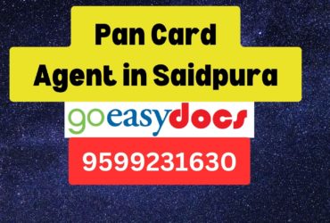 Pan Card Agent Consultant in Saidpura 8851415812