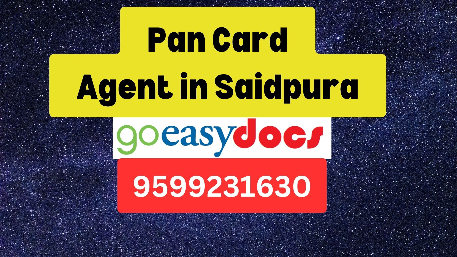 Pan Card Agent Consultant in Saidpura 8851415812