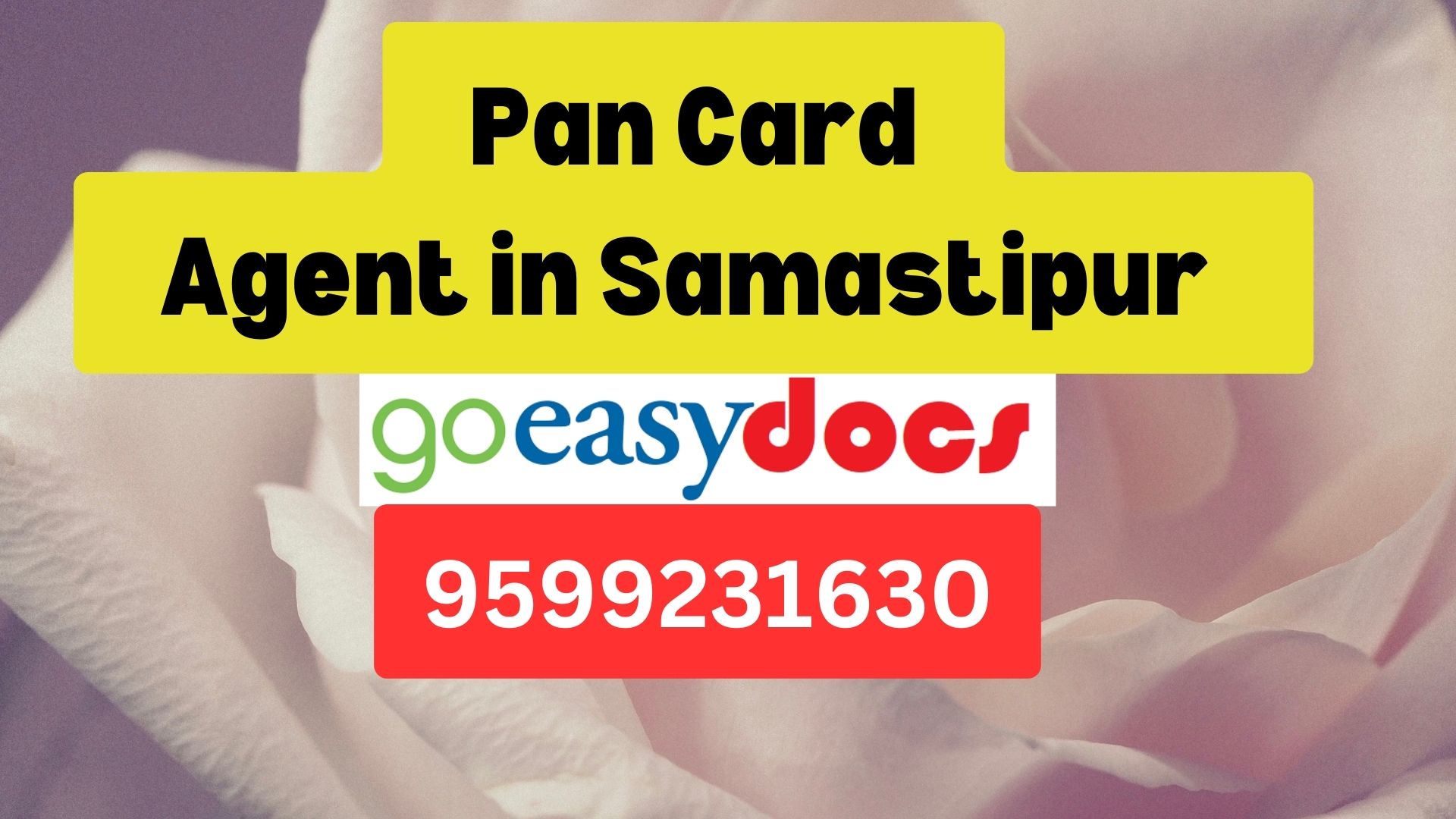 Pan Card Agent Consultant in Samastipur   8851415812