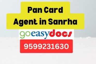 Pan Card Agent Consultant in Sanrha 8851415812