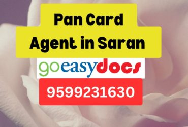 Pan Card Agent Consultant in Saran   8851415812