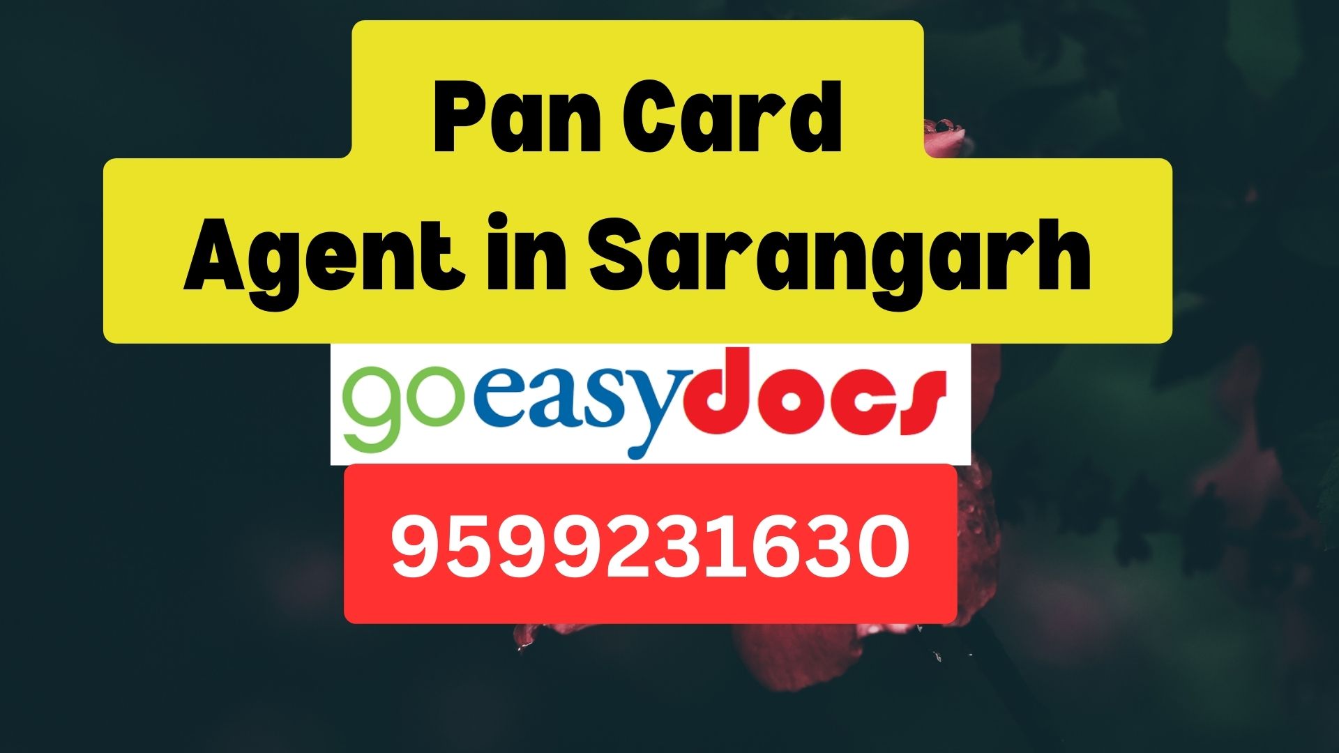 Pan Card Agent Consultant in Sarangarh 8851415812