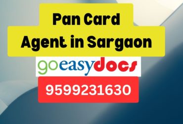 Pan Card Agent Consultant in Sargaon 8851415812