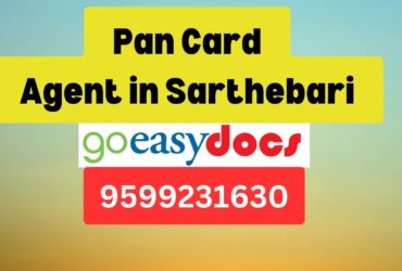 Pan Card Agent Consultant in Sarthebari  8851415812