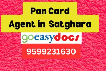 Pan Card Agent Consultant in Satghara  8851415812