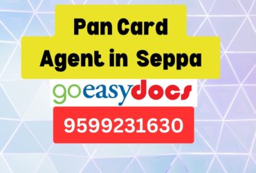 Pan Card Agent Consultant in Seppa  8851415812