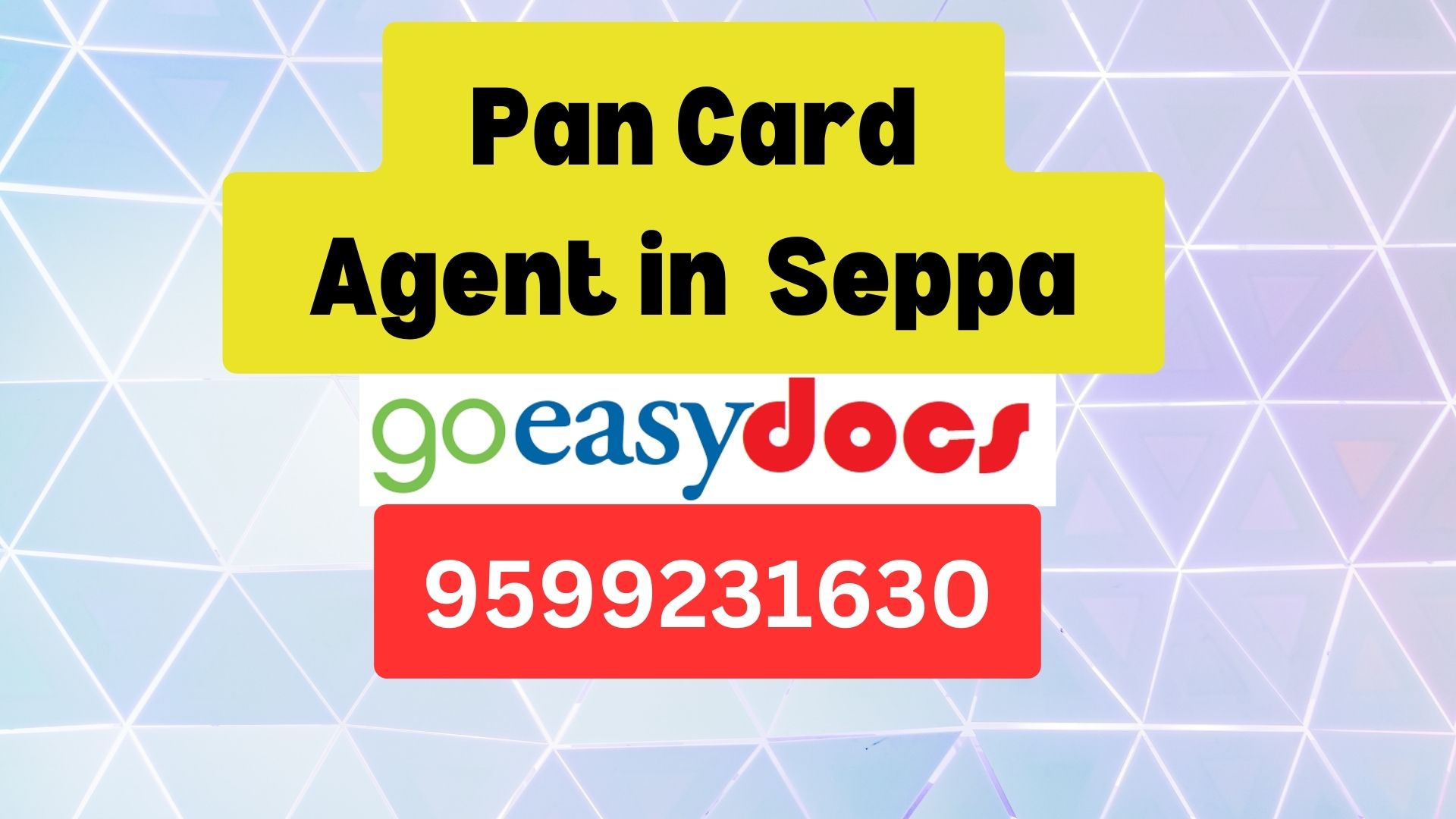 Pan Card Agent Consultant in Seppa  8851415812