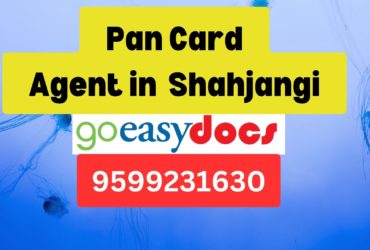 Pan Card Agent Consultant in Shahjangi  8851415812