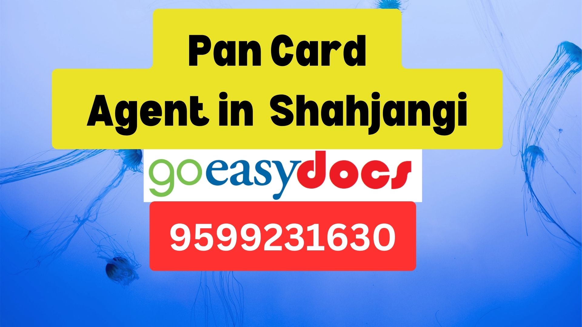 Pan Card Agent Consultant in Shahjangi  8851415812