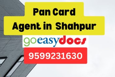 Pan Card Agent Consultant in Shahpur  8851415812