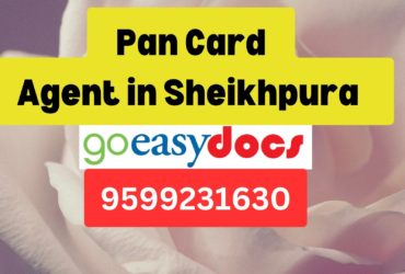 Pan Card Agent Consultant in Sheikhpura   8851415812