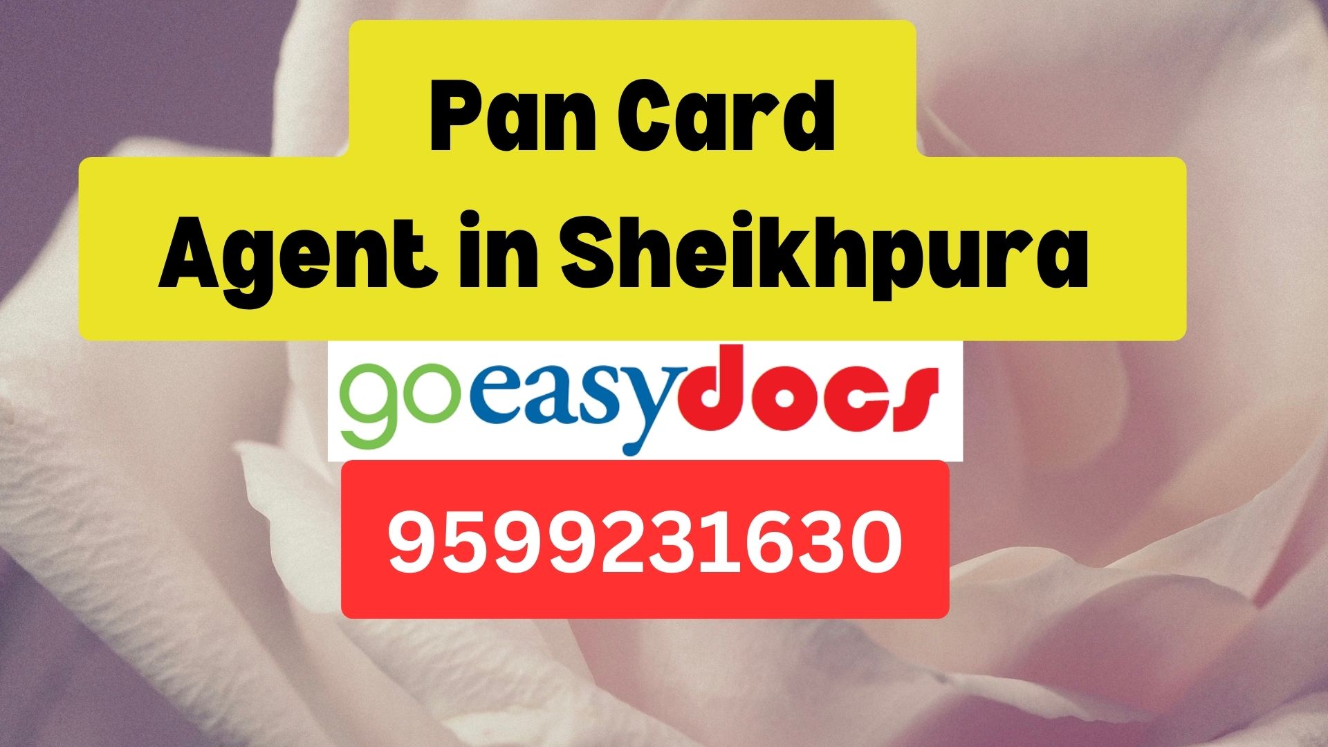 Pan Card Agent Consultant in Sheikhpura   8851415812