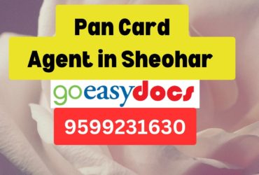 Pan Card Agent Consultant in Sheohar   8851415812