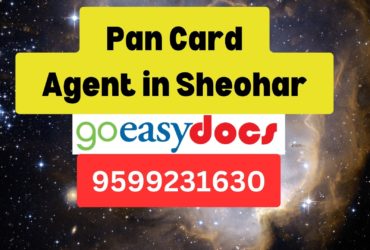 Pan Card Agent Consultant in Sheohar 8851415812