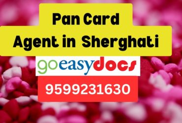 Pan Card Agent Consultant in Sherghati  8851415812