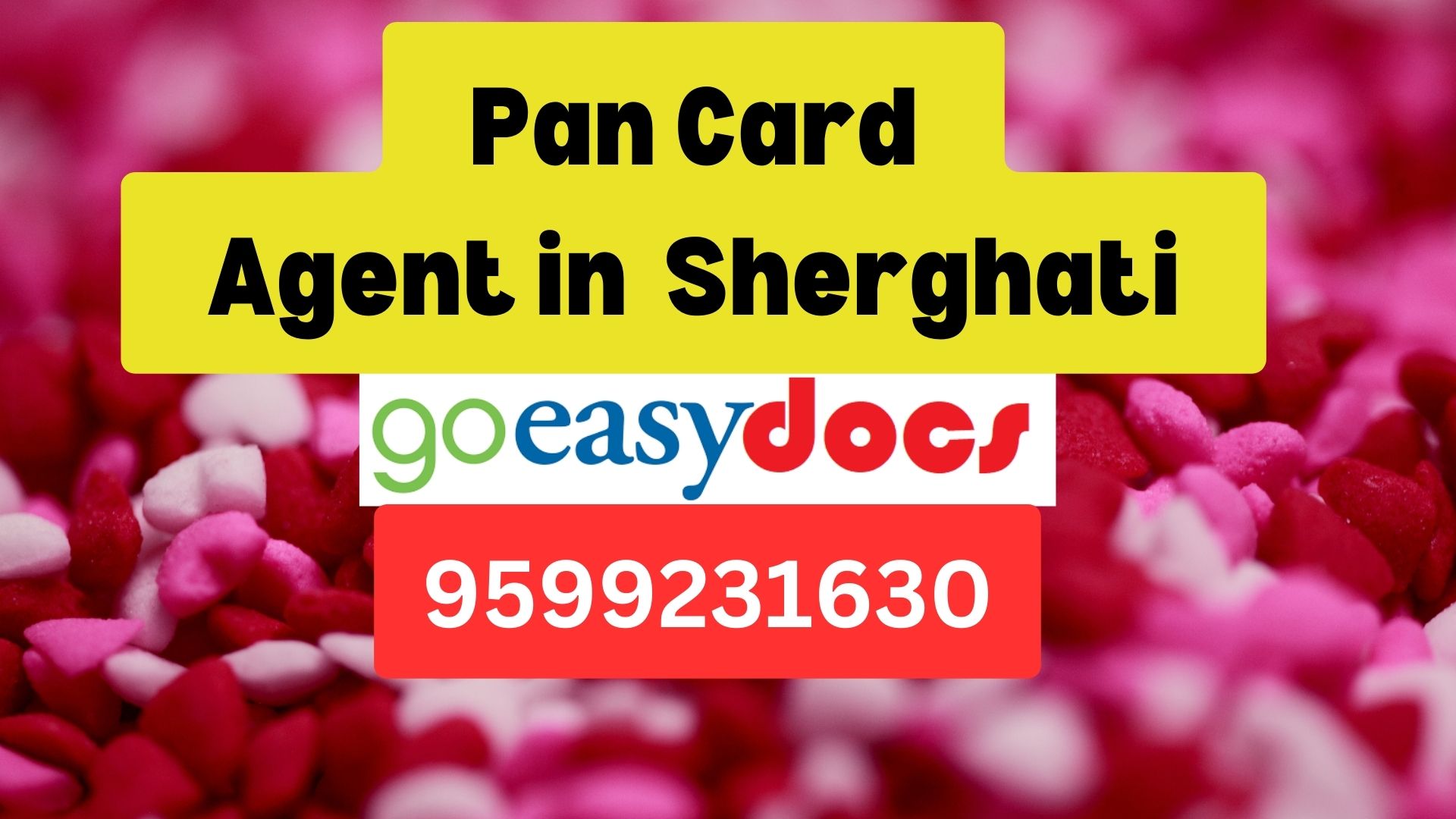 Pan Card Agent Consultant in Sherghati  8851415812