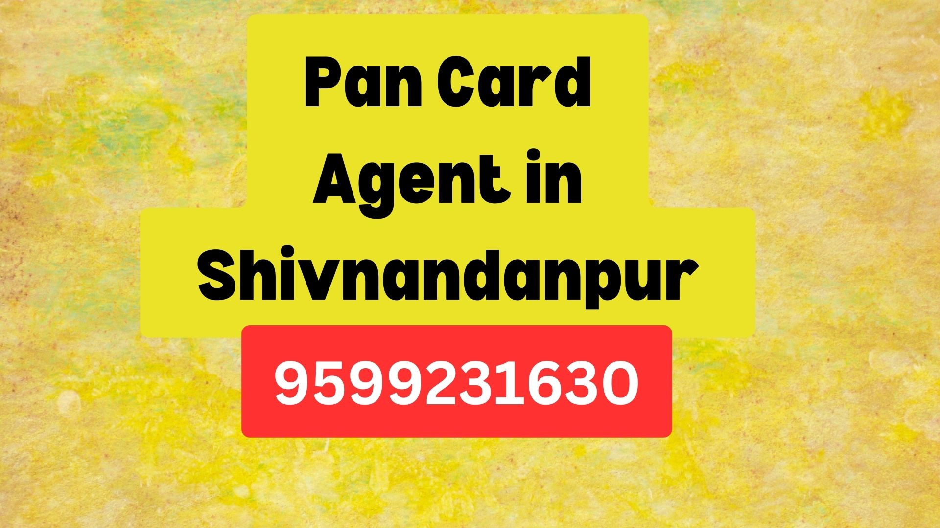 Pan Card Agent Consultant in Shivnandanpur  8851415812