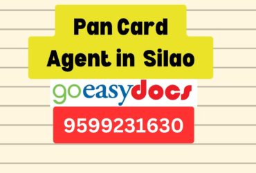 Pan Card Agent Consultant in Silao  8851415812