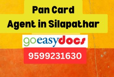 Pan Card Agent Consultant in Silapathar  8851415812