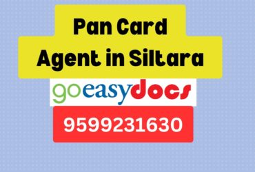 Pan Card Agent Consultant in Siltara 8851415812