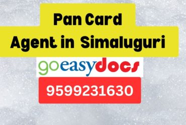 Pan Card Agent Consultant in Simaluguri  8851415812