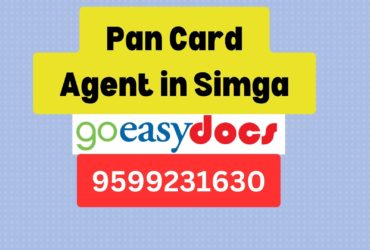 Pan Card Agent Consultant in Simga 8851415812