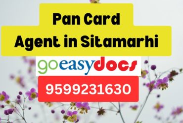 Pan Card Agent Consultant in Sitamarhi 8851415812