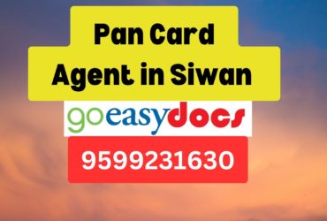 Pan Card Agent Consultant in Siwan   8851415812