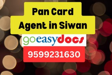 Pan Card Agent Consultant in Siwan 8851415812