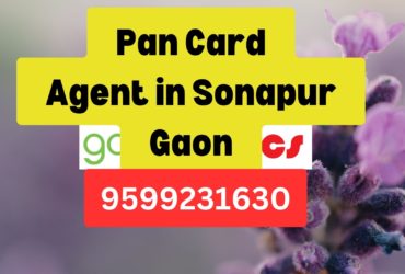 Pan Card Agent Consultant in Sonapur Gaon  8851415812