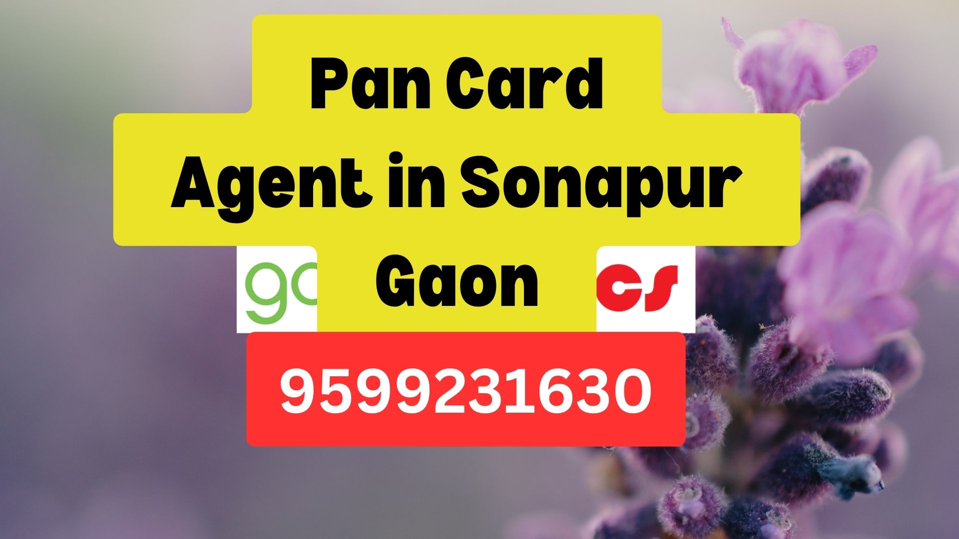 Pan Card Agent Consultant in Sonapur Gaon  8851415812