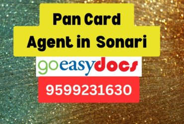 Pan Card Agent Consultant in Sonari  8851415812