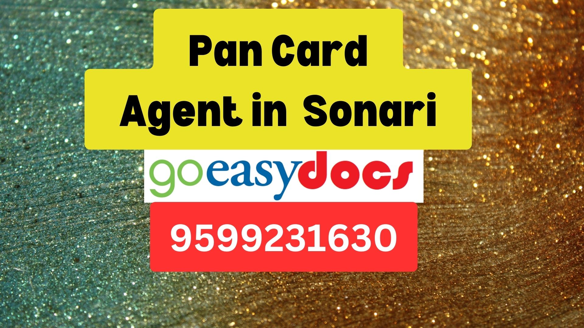 Pan Card Agent Consultant in Sonari  8851415812