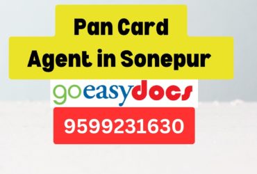 Pan Card Agent Consultant in Sonepur  8851415812