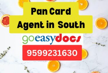 Pan Card Agent Consultant in South 8851415812