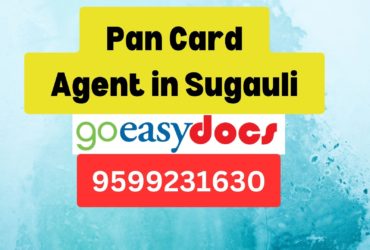 Pan Card Agent Consultant in Sugauli 8851415812