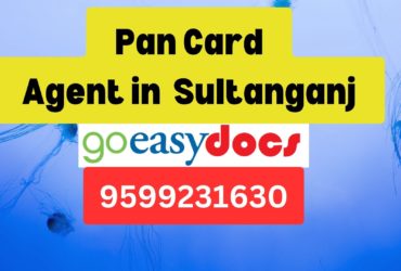 Pan Card Agent Consultant in Sultanganj  8851415812