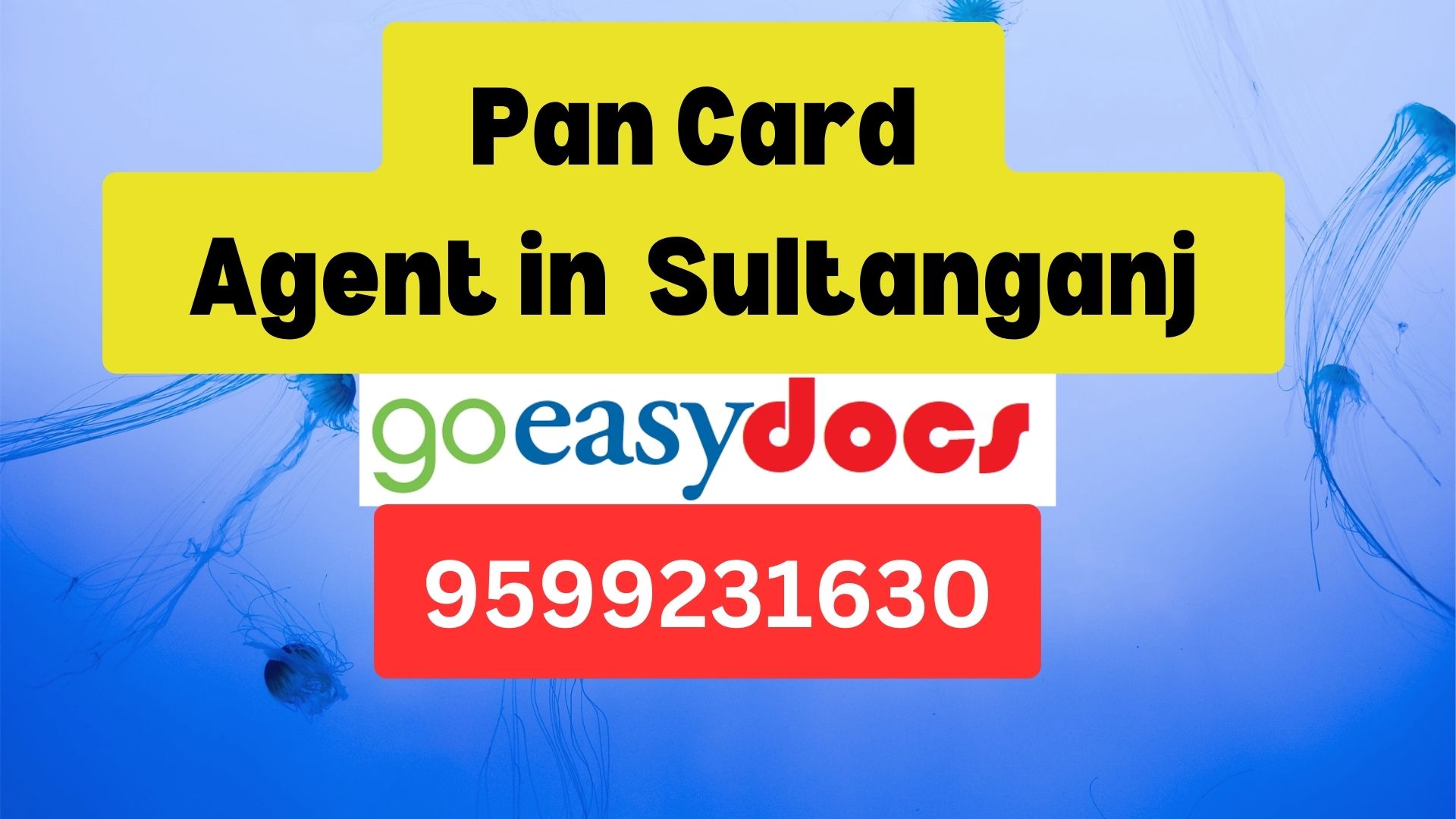 Pan Card Agent Consultant in Sultanganj  8851415812