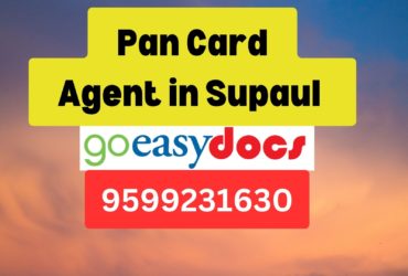 Pan Card Agent Consultant in Supaul   8851415812