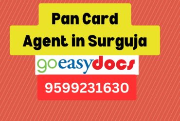 Pan Card Agent Consultant in Surguja 8851415812