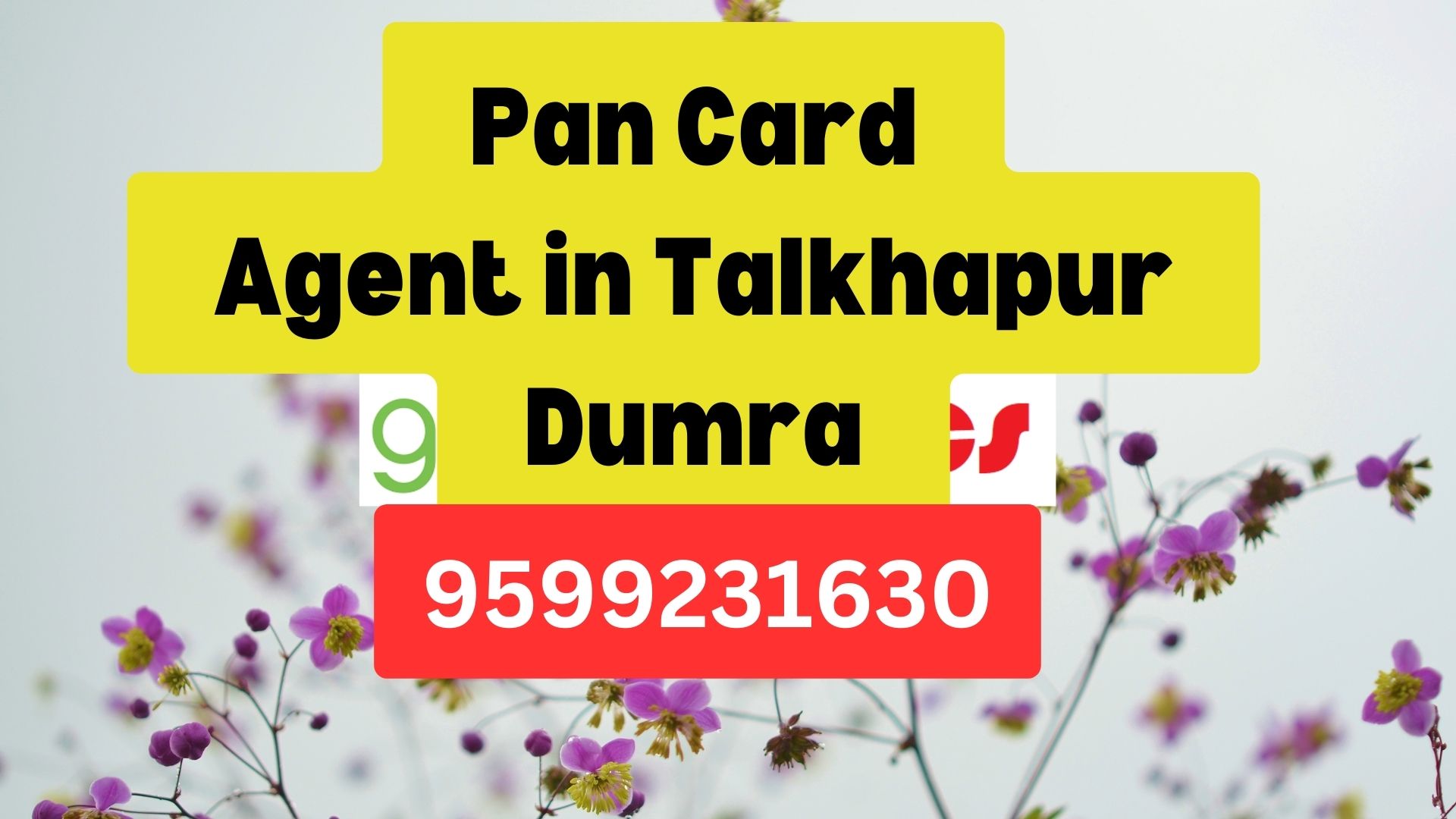 Pan Card Agent Consultant in Talkhapur Dumra 8851415812