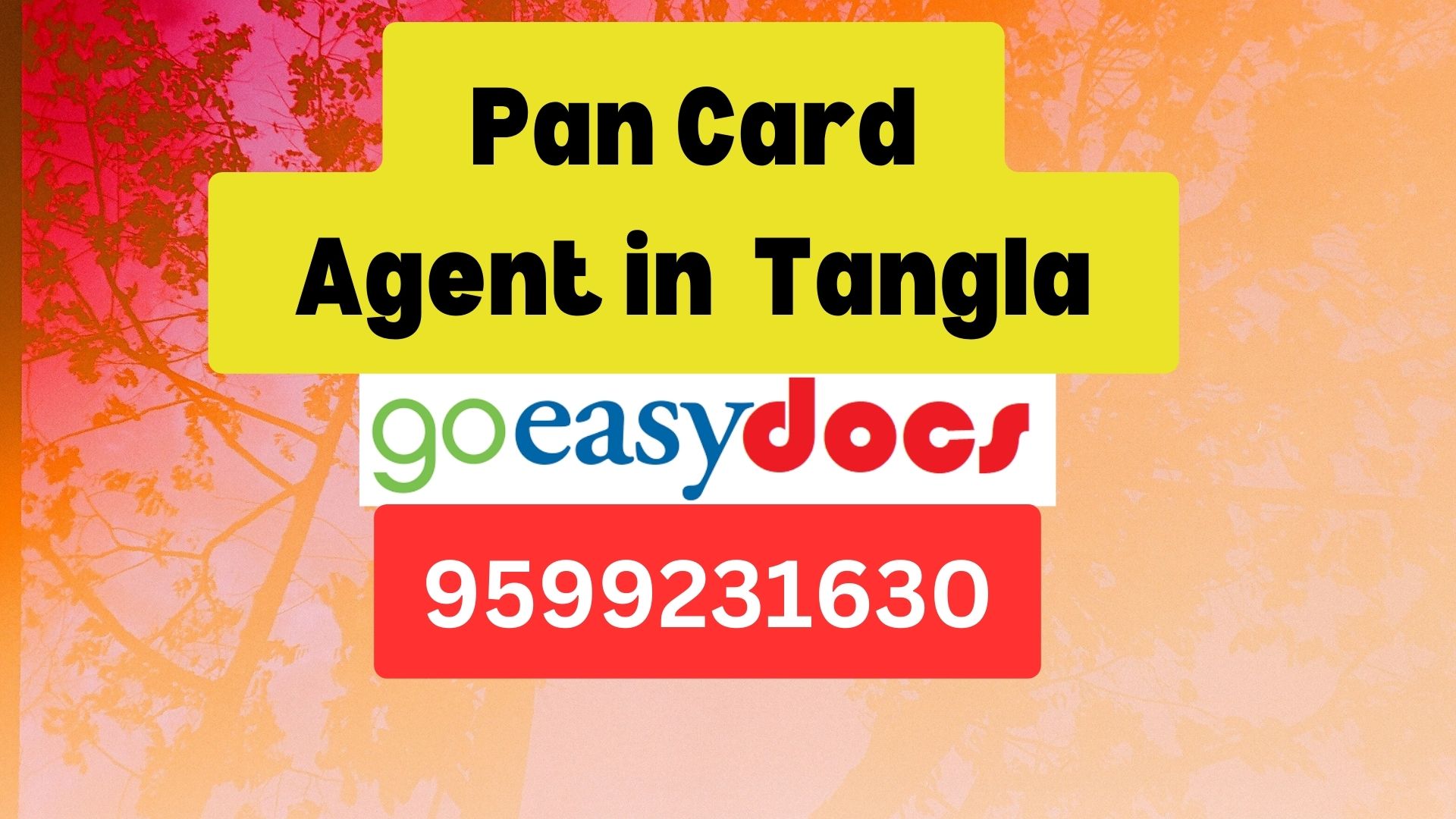 Pan Card Agent Consultant in Tangla  8851415812