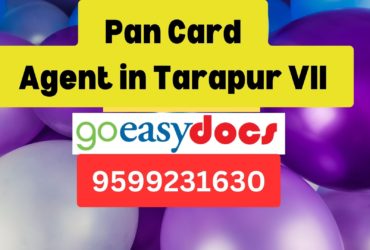 Pan Card Agent Consultant in Tarapur VII  8851415812