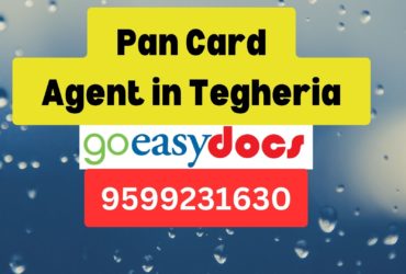 Pan Card Agent Consultant in Tegheria  8851415812